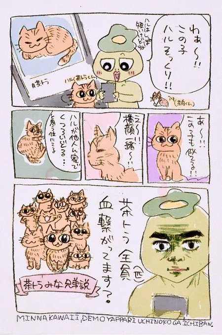 茶トラ猫全員(匹)うちの子に見える現象 