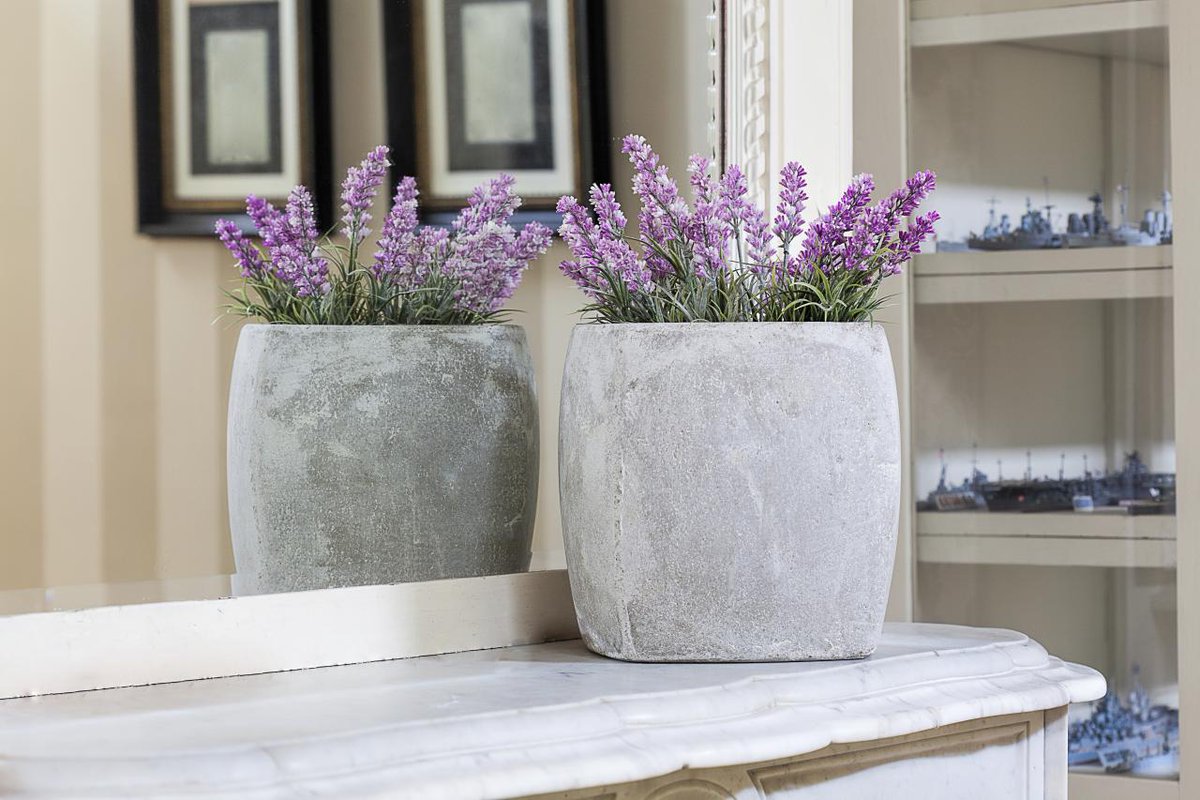 decor_era's tweet photo. Best Bedroom Plants for a Prettier, Healthier Space
1. Lavender
2. Lady Palm
5. Rosemary
4. Areca Palm

#interiordesign #interiordesigner #homedecor #homesweethome #decore #decorera #architect #interior #interiordecor #homedesign #buildyourownhouse #homeandliving https://t.co/vNhFXSvw9G