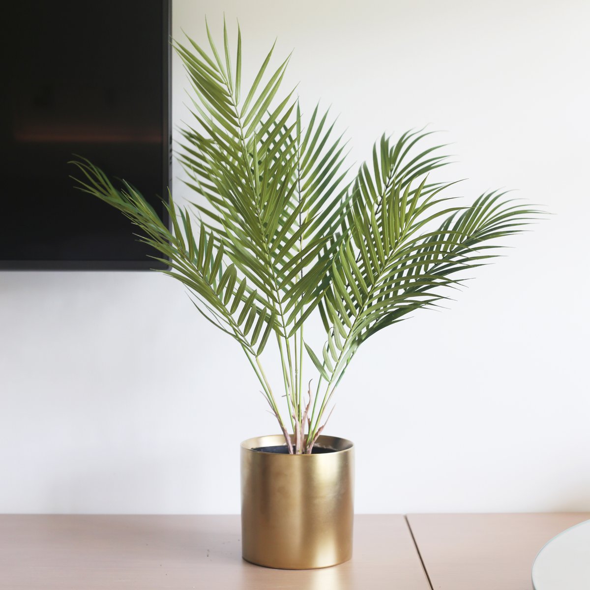 decor_era's tweet photo. Best Bedroom Plants for a Prettier, Healthier Space
1. Lavender
2. Lady Palm
5. Rosemary
4. Areca Palm

#interiordesign #interiordesigner #homedecor #homesweethome #decore #decorera #architect #interior #interiordecor #homedesign #buildyourownhouse #homeandliving https://t.co/vNhFXSvw9G