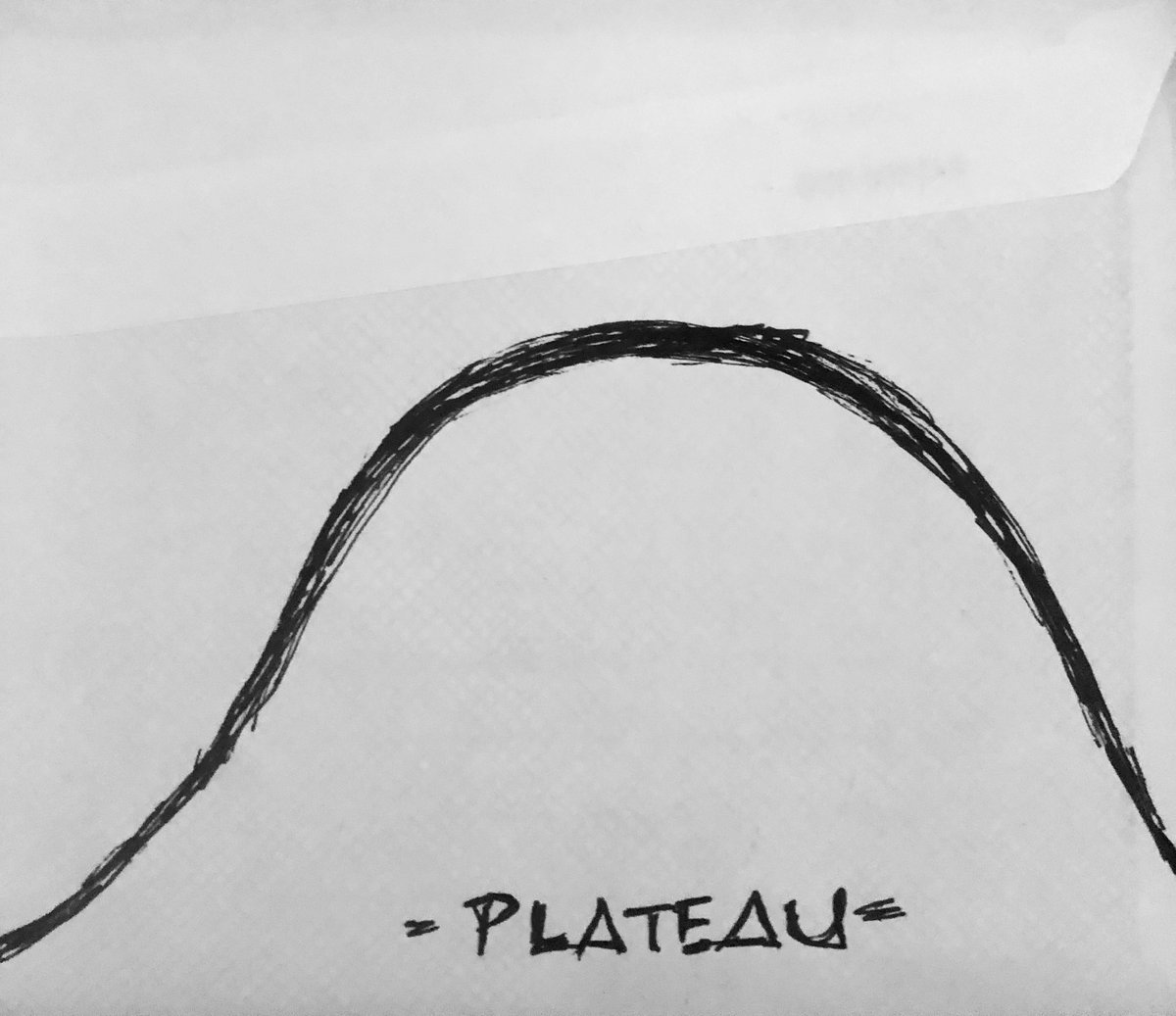 Alternatively, there's the 'plateau'. This is when cases rise, level off for some time, and then slowly drop.This is likely what we will see in NYC.This plateau can last days or even weeks.During this plateau, deaths will remain high. The ERs & ICUs will still be very busy.