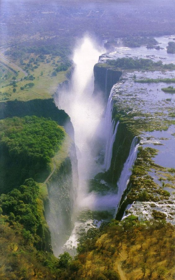 Betty Colon tweet media