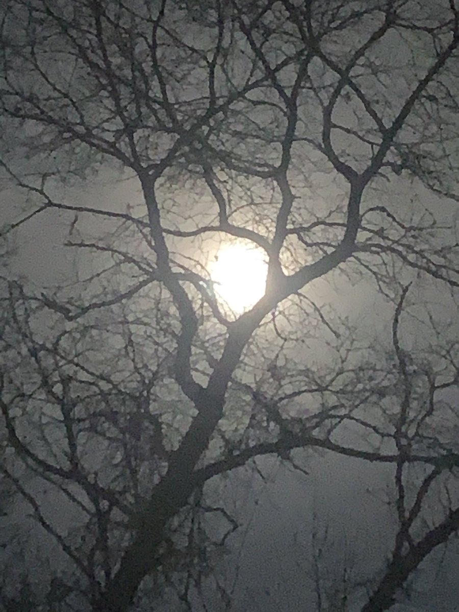 Eric VanValkenburg tweet media