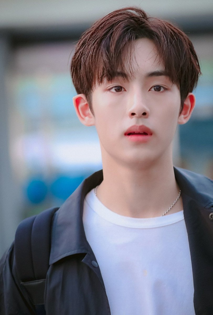 winwin& #39;s visual appreciation thread.