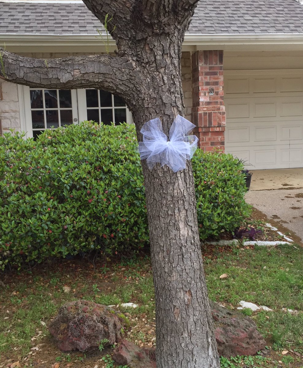 5thgradefans's tweet photo. Here’s my white ribbon for my daughter and all healthcare workers who work at Parkland Hospital @wfaa #WFAA #WhiteRibbonRally #HealthcareHeroes 💙💙 https://t.co/tXoTKqCP7w