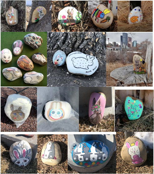 mcmillan_ali's tweet photo. So much fun in @BRCAssociation with the #Bridgeland Rock Hunt project!  Thx @gregkmills and Minto Developments for donating the rocks for this fun community project.  Follow along at 
https://t.co/jjMNRHAjs8  👀 out! Bridgeland bunnies are hiding everywhere! #bridgelandlove https://t.co/yZyQN7Pvrw