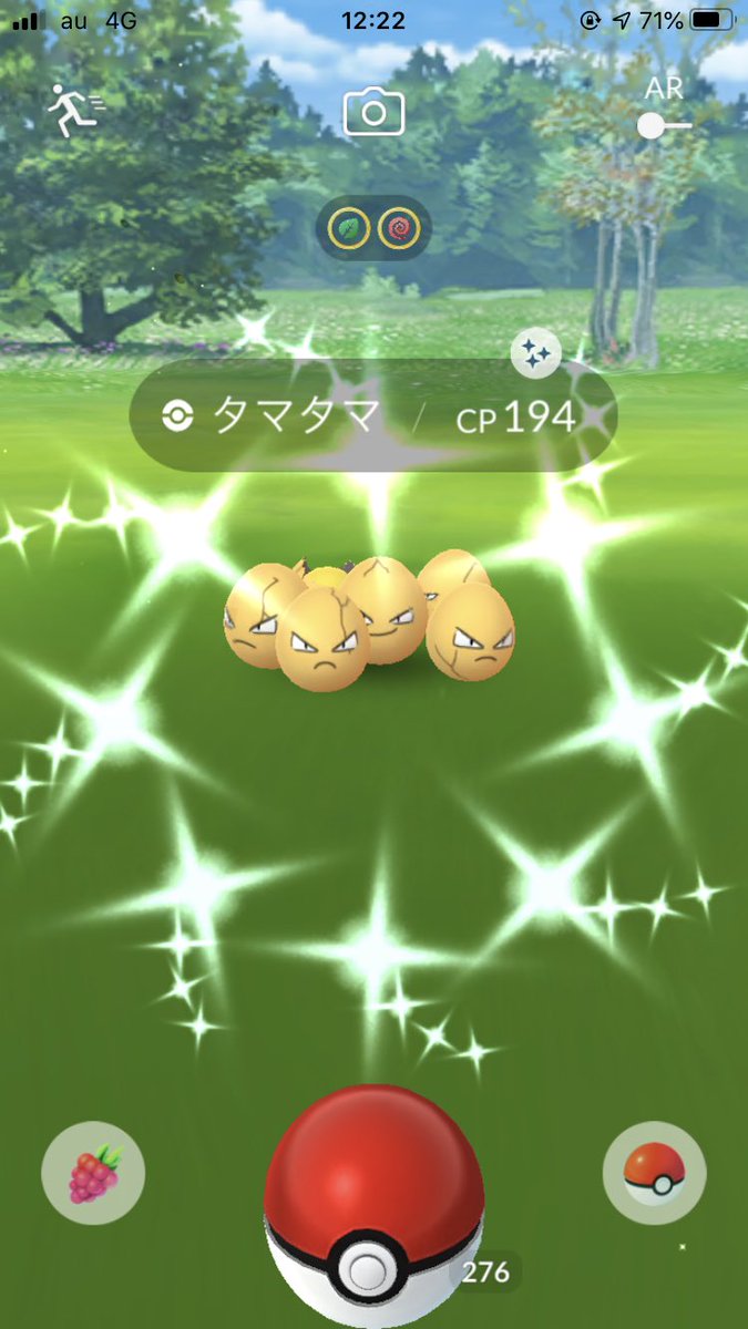 タマタマ色違い