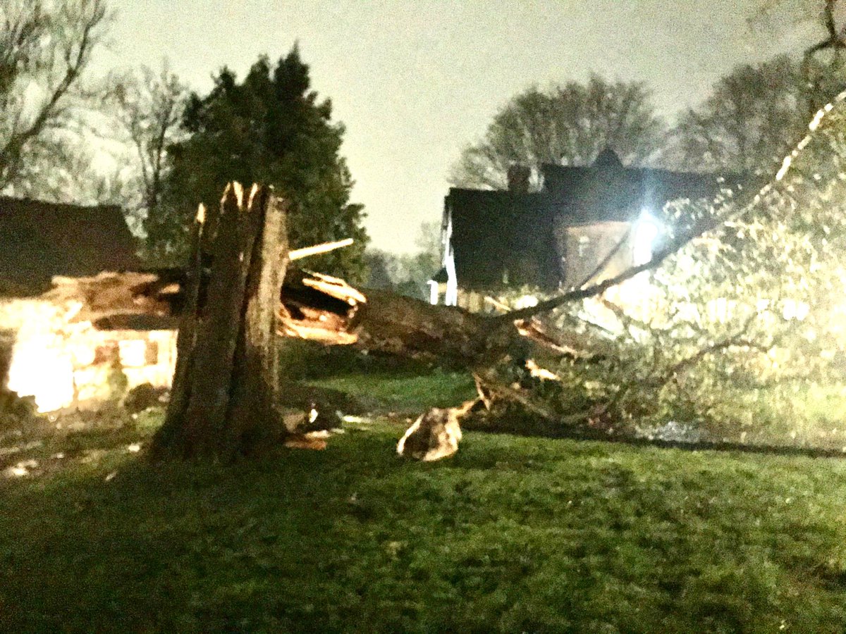 This tree — a big one— snapped in half on Grand Vista in Amberley Village @wcpo