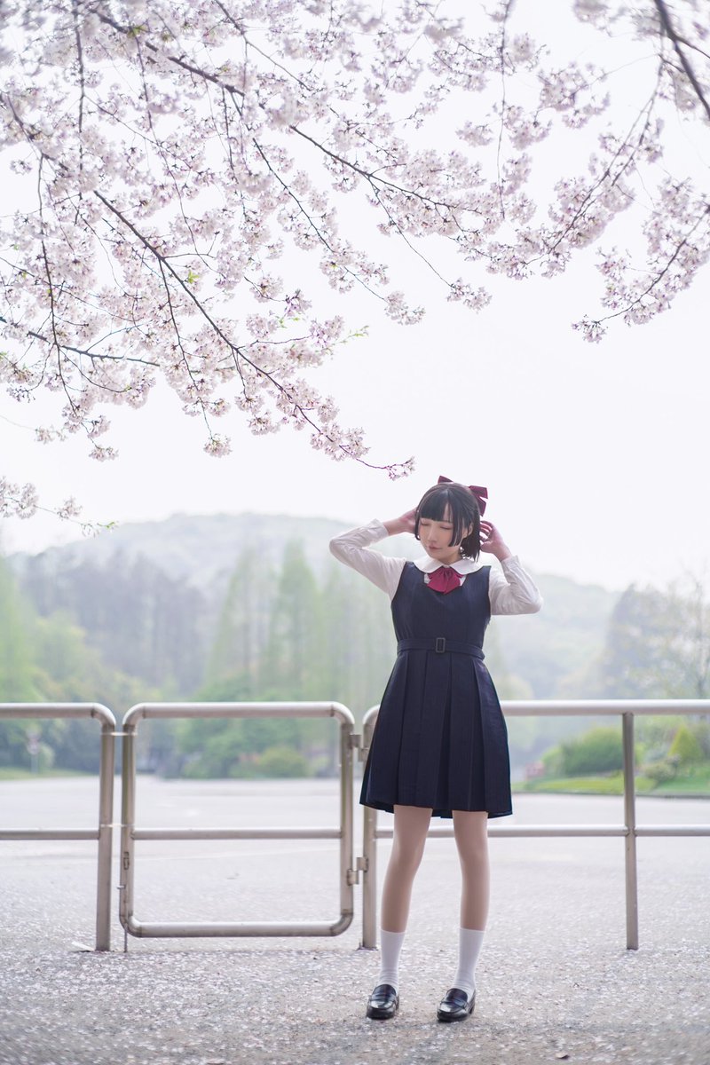 maoumao_'s tweet photo. 桜花季 https://t.co/g17qPidi8O