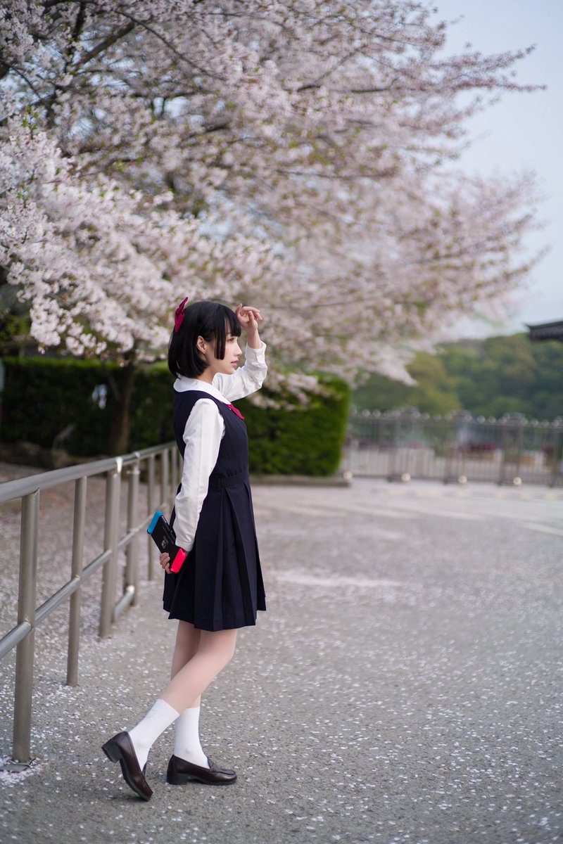 maoumao_'s tweet photo. 桜花季 https://t.co/g17qPidi8O