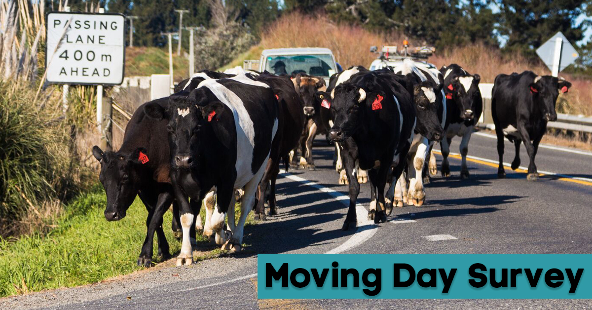 We need your input! Please take 5 minutes to complete this Moving Day survey which will help us understand all business and people movements so we can put together a plan for how we will manage this critical event. SURVEY LINK: bit.ly/movingday2020