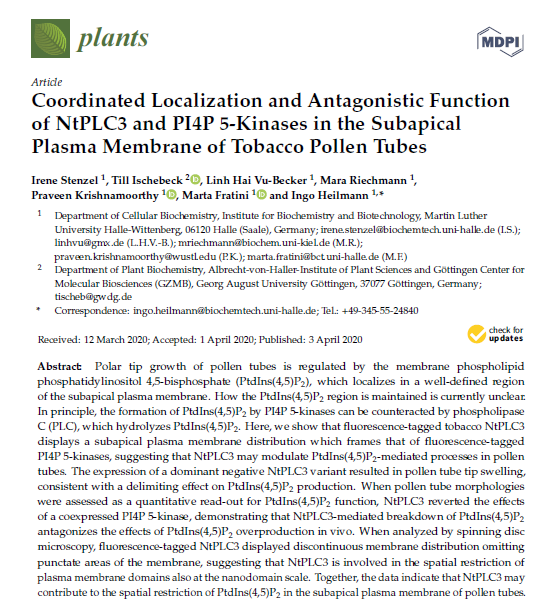 Plants_MDPI's tweet photo. New Publication
"Coordinated Localization and Antagonistic Function of NtPLC3 and PI4P 5-Kinases in the Subapical Plasma Membrane of Tobacco #PollenTubes"
https://t.co/Z8CbXZVxcW https://t.co/OAMr5f9d4C