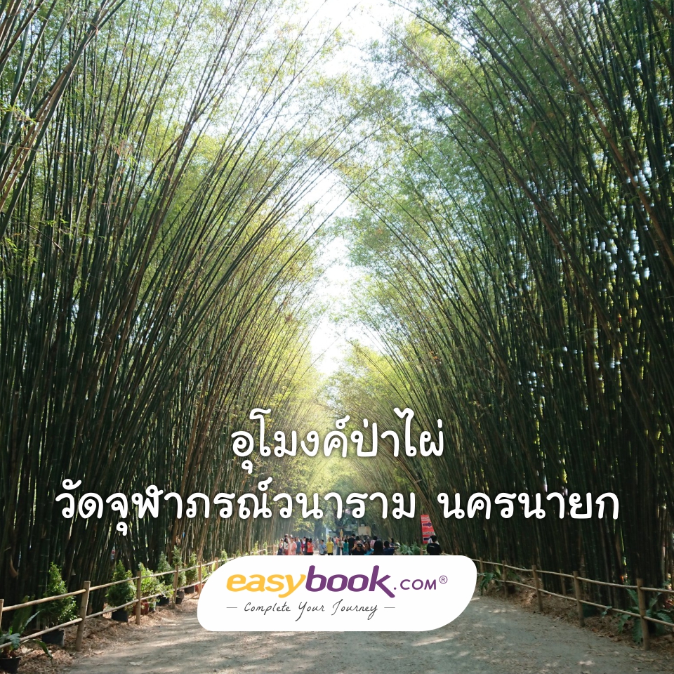 easybook_th's tweet photo. 🎉เข้าวัดนอกจากจะได้บุญ ยังได้รูปสวยๆเหมือนไปญี่ปุ่นแถมมา🎉

ซุ้มไม้ไผ่หรืออุโมงค์ป่าไผ่สวยๆในรูปนี้อยู่ที่ วัดจุฬาภรณ์วนาราม จังหวัดนครนายก
อ่านเพิ่มที่ https://t.co/ACGpLR53en
#เที่ยวไทย #ททท #ท่องเที่ยว #ทัวร์ไฟไหม้ #โปรโมชั่น #โปรดี #ส่วนลด #ตั๋วโปร #ตั๋วรถไฟ
#amazingthailand https://t.co/CwEzznueYN