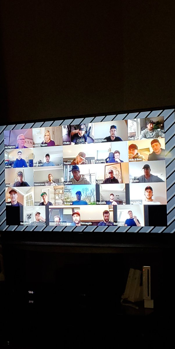 SarahBeth74's tweet photo. Watching the @StLouisBlues zoom conversion.. take away so far, they're all super fidgety and I'm pretty sure @DP_57 and @vince_dunn are texting each other... https://t.co/DogKEZlRs7