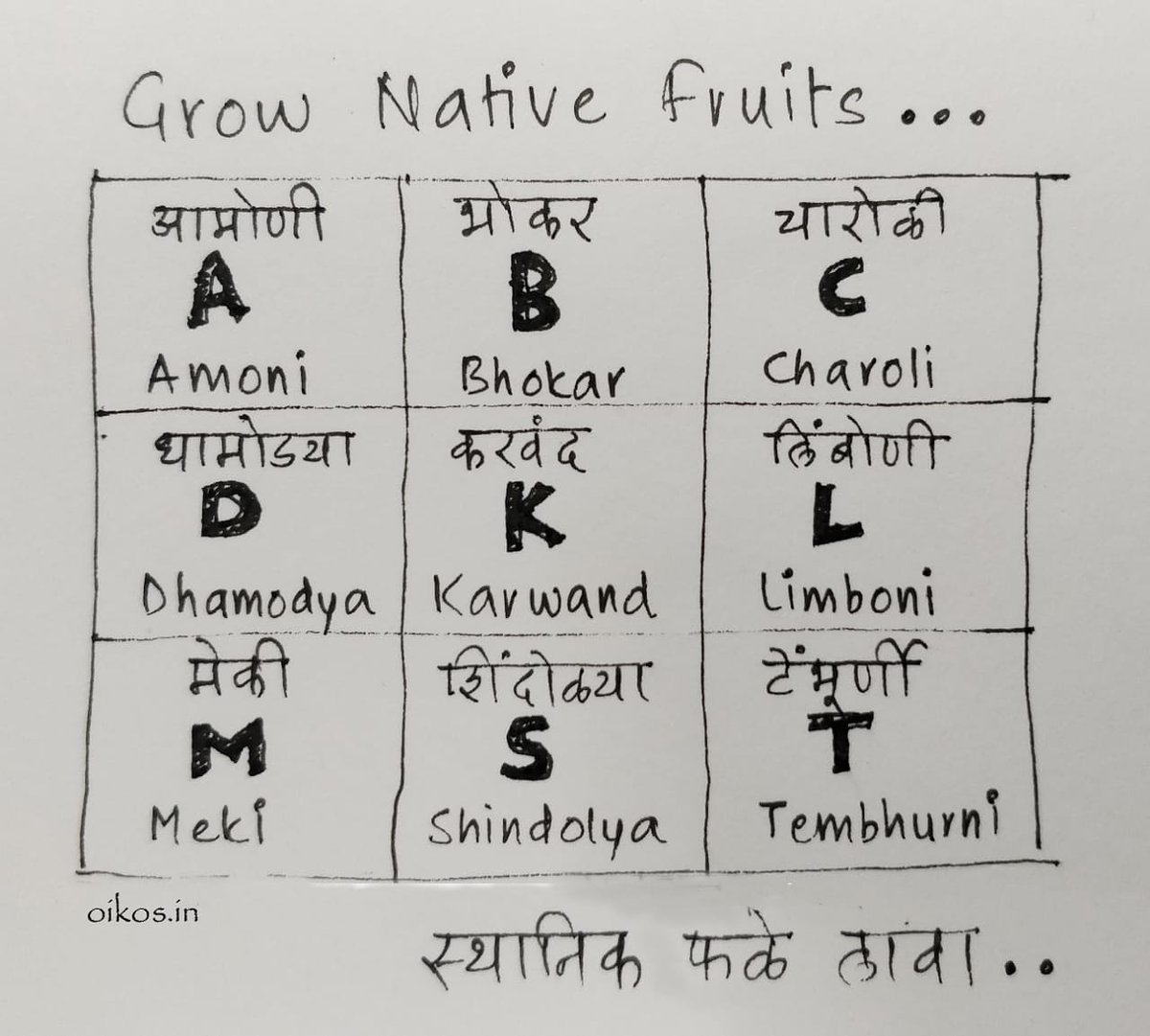 14. Native fruits 🍒
(Urban - Semi-urban - Rural areas)
We have a wide range of wild fruits less known to everyone, E.g.. Khirani, bhokar, meki, amoni, charoli, dhamodya. 

#NatureConservation #eco_lifestyle #sustainability #oikos_pune #nativeplants #GrowNatives #wildfruits