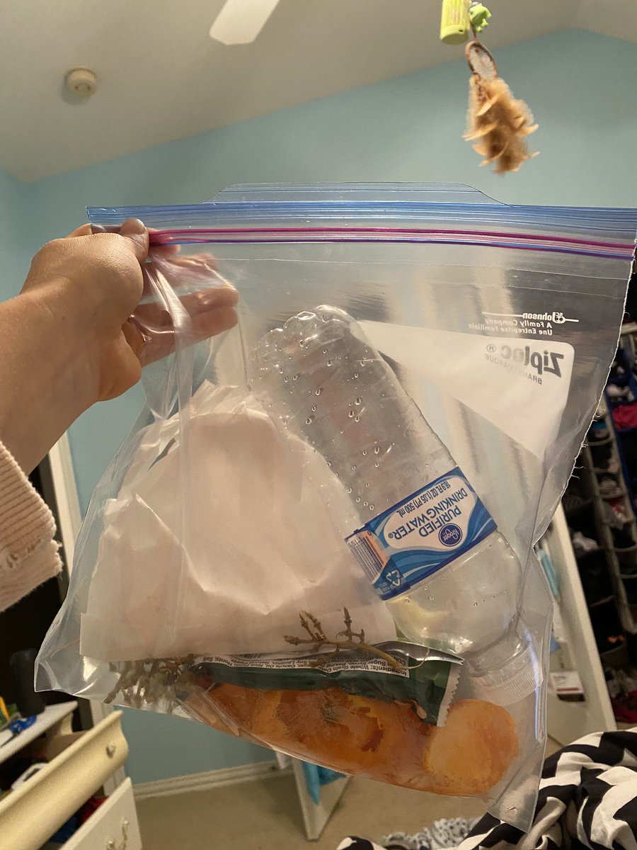 syd218's tweet photo. Kept all of the waste I produced throughout the day. Have to say it’s an eye opening experience and I was more conscious about what I ate and did! @ambarnes8 #esslove #teachSDGs #noimpact #CHSHome https://t.co/nu6UxpiR18