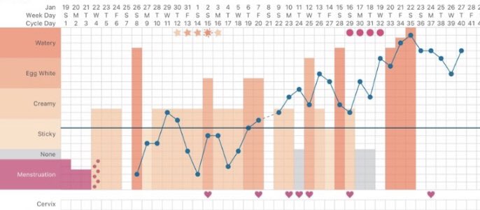 Back in early March I got a message from someone who was pregnant and using their FAM chart. It was clear to me that they ovulated around cycle day 18 and that we were looking at a pregnancy chart (high temps for more than 18 days, esp with a third tier rise)