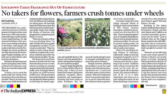 Ver imagem no Twitter