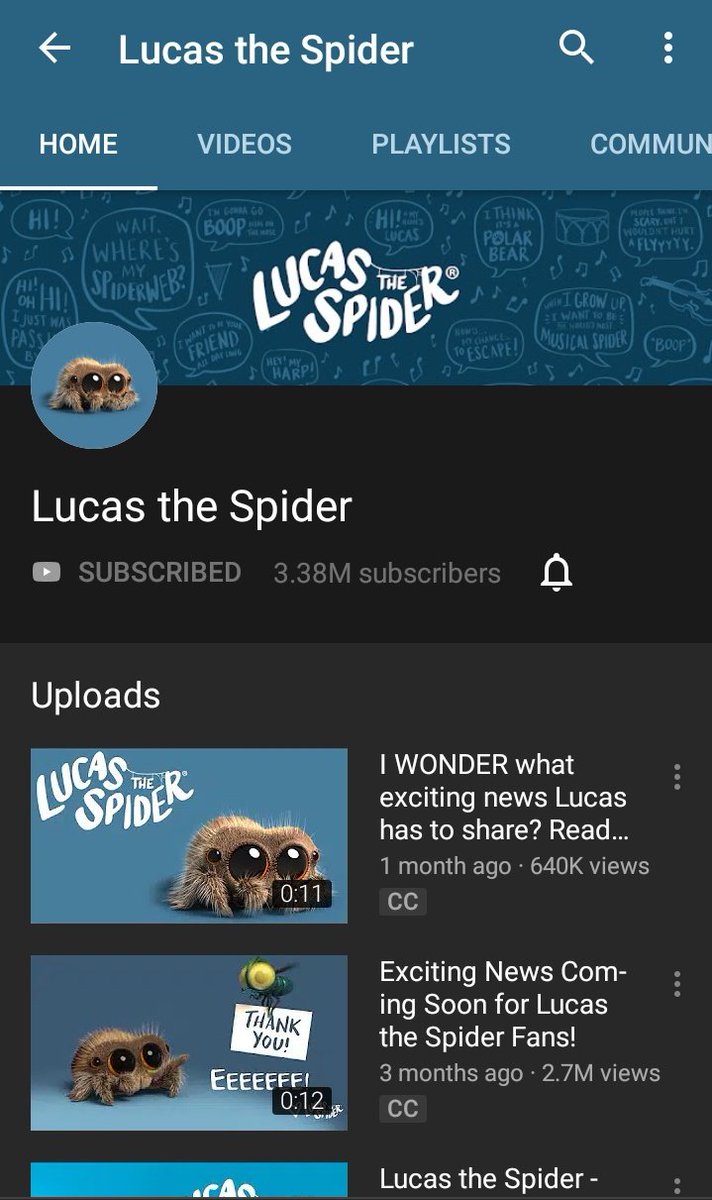 2. Lucas the SpiderIsinya film animasi pendek keseharian laba-laba kecil (kalo gede riba-riba anjay). Gumus banget Sayangnya channel ini jarang update, sebulan sekali kayanya. Tapi worth the wait karena lucuuuukkkk banget!!