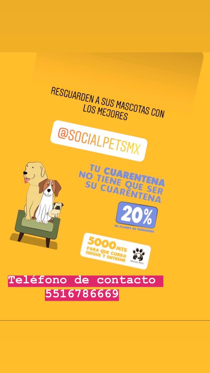 Evita estrés de tus perros por paseos más cortos durante la cuarentena 20% de descuento en pensiones @En_laDelValle @VertizNarvarte @AlamosCDMX @AjuscoTlalpan @Narvarte_ @LaRomaDF @La_Portales @Pet_Friendly_Mx @SuperPawMx @LaNapoles_News @LaNapolesCdMx