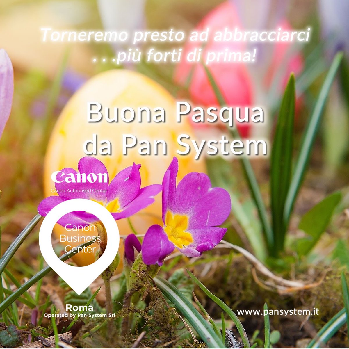PanSystemCanon's tweet photo. Nonostante il periodo... noi di Pan System vogliamo farvi i più sentiti Auguri per una Serena Pasqua 🐰🐰🐣🐣🐥🐥 #PanSystemHelp #noicisiamo #andràtuttobene https://t.co/J6ccJDKSZJ