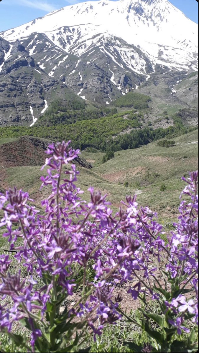 𝓓𝓮𝓷𝓲𝔃 💙💛 tweet media