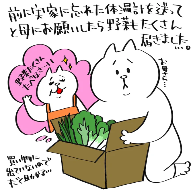 実家が恋しくてみんなに会いたくて仕方がない!!、、だけど今は耐える時、、、 