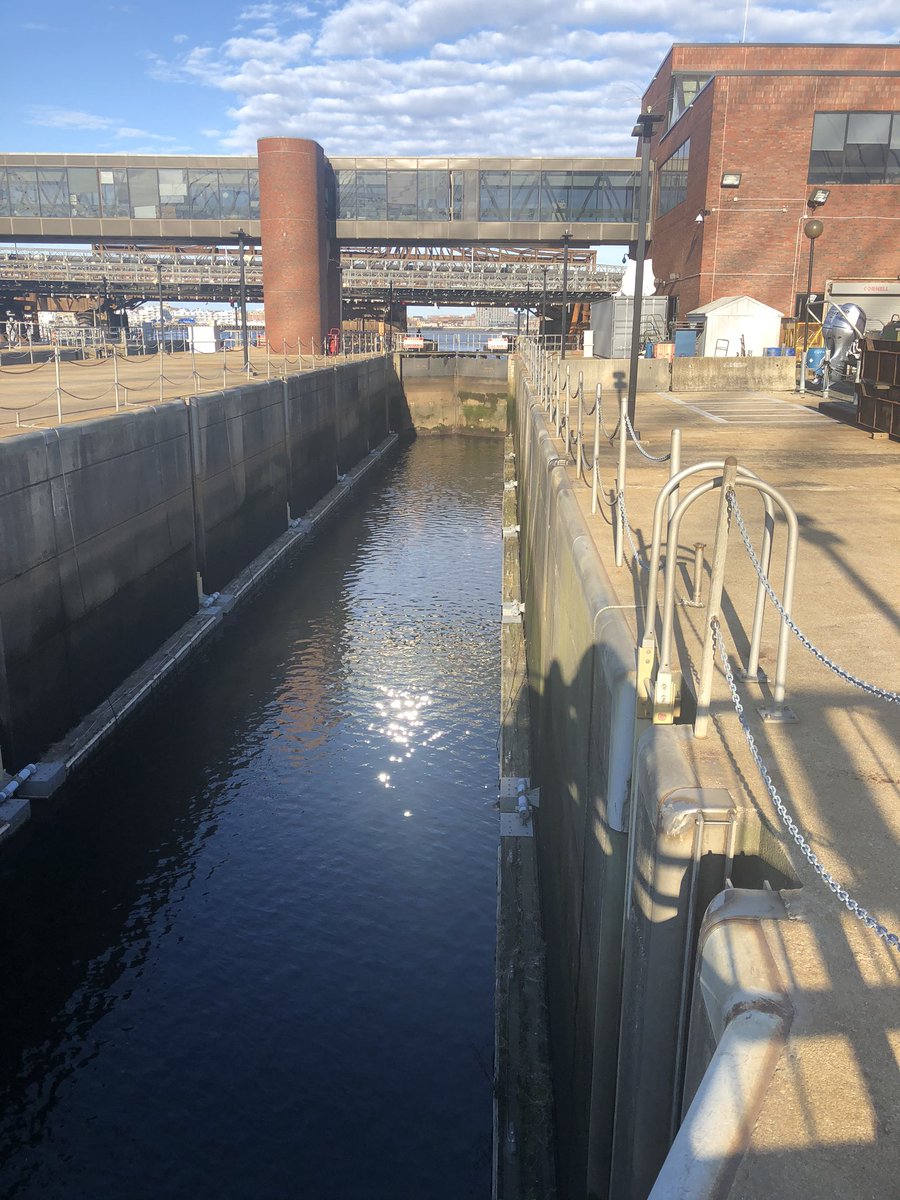 Boston Harbor Today tweet media