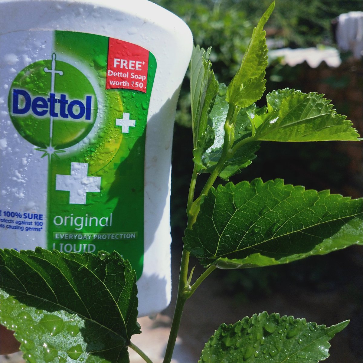 seenu_saini07 (@seenusaini07) on Twitter photo 