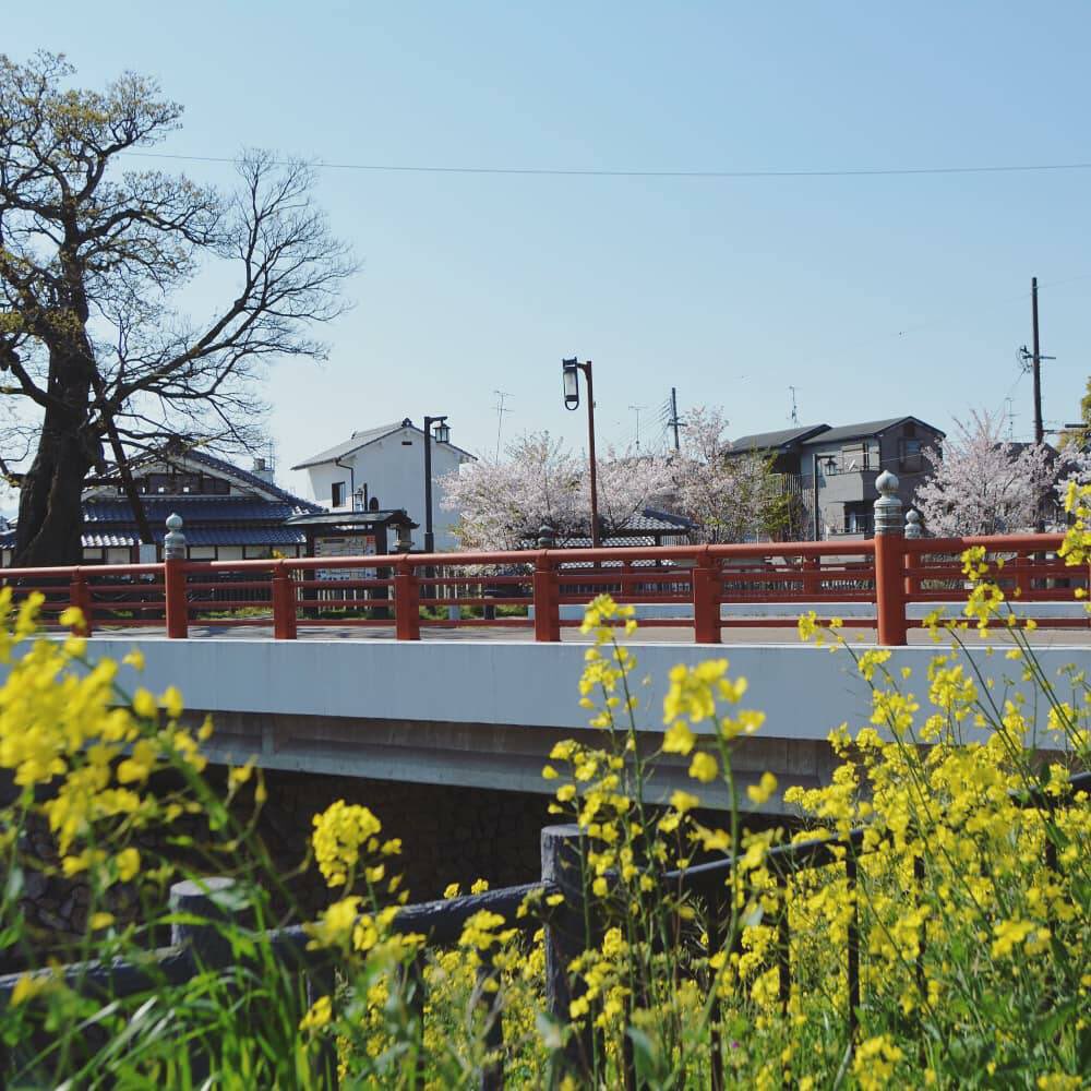 jinmusai's tweet photo. レトロなまちなみ今井町
#今井町
#橿原 #橿原市
#kshr #kashihara
#奈良 #奈良県
#nara
#japan
#レトロなまちなみ
#花甍
#はないらか って読むの
#名前が既にステキ
#今は閉まっているけれど
#来年はきっと
#旅の候補に入れてね
#思い描いた時から
#旅ははじまっている
#はなまっぷ
#エア花見 https://t.co/WEFwGIscqB