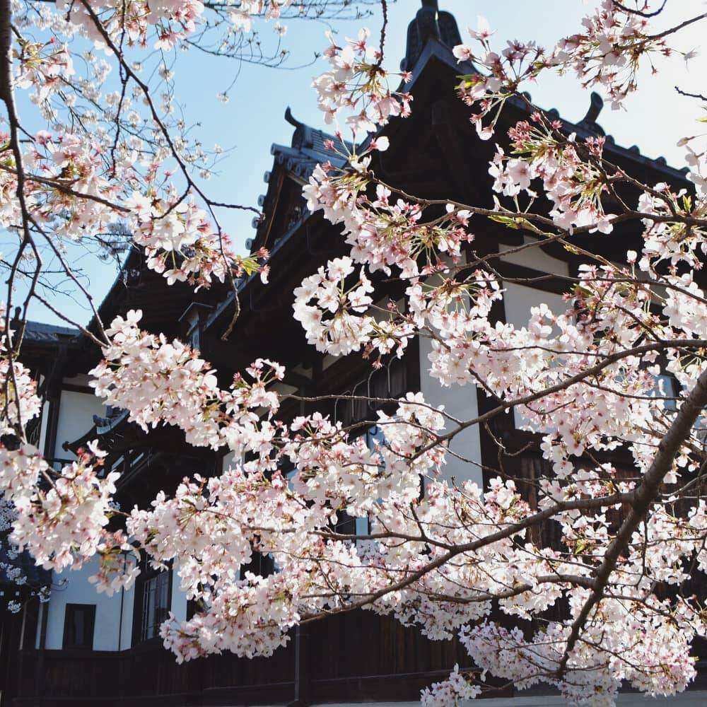 jinmusai's tweet photo. レトロなまちなみ今井町
#今井町
#橿原 #橿原市
#kshr #kashihara
#奈良 #奈良県
#nara
#japan
#レトロなまちなみ
#花甍
#はないらか って読むの
#名前が既にステキ
#今は閉まっているけれど
#来年はきっと
#旅の候補に入れてね
#思い描いた時から
#旅ははじまっている
#はなまっぷ
#エア花見 https://t.co/WEFwGIscqB