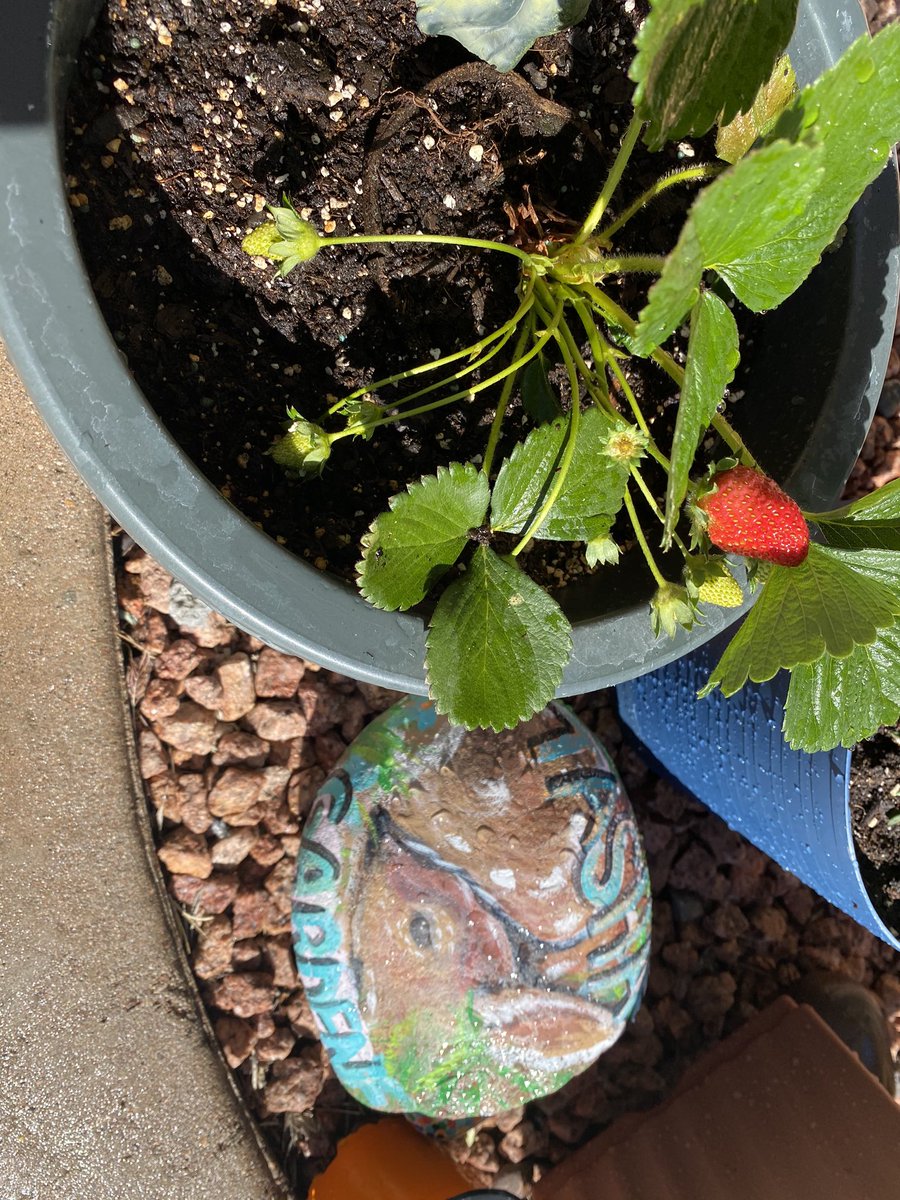 Natasha May tweet media