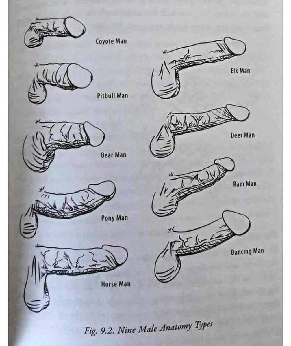 Ladies which best suits you?