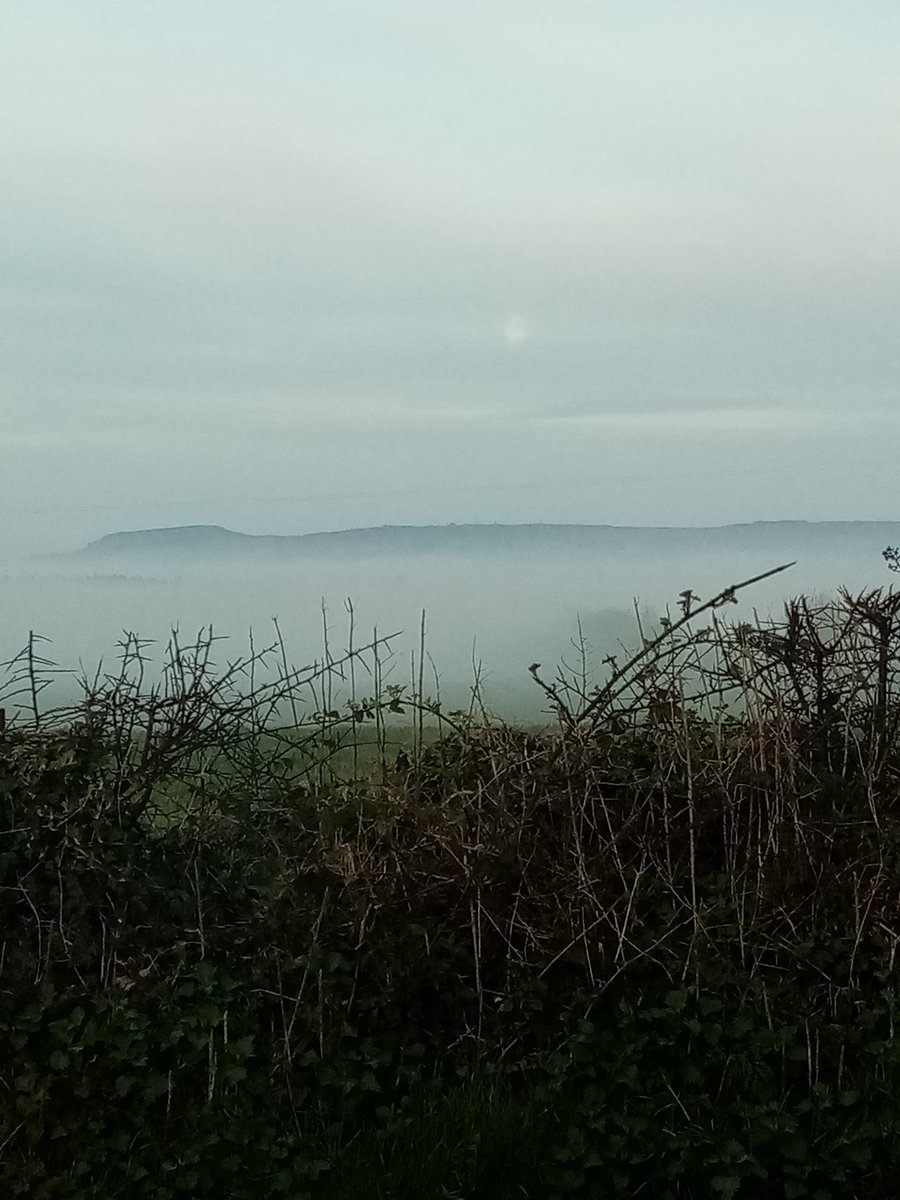 thomasjstamp's tweet image. The mist, the moon and the mountain #tipperary #devilsbit