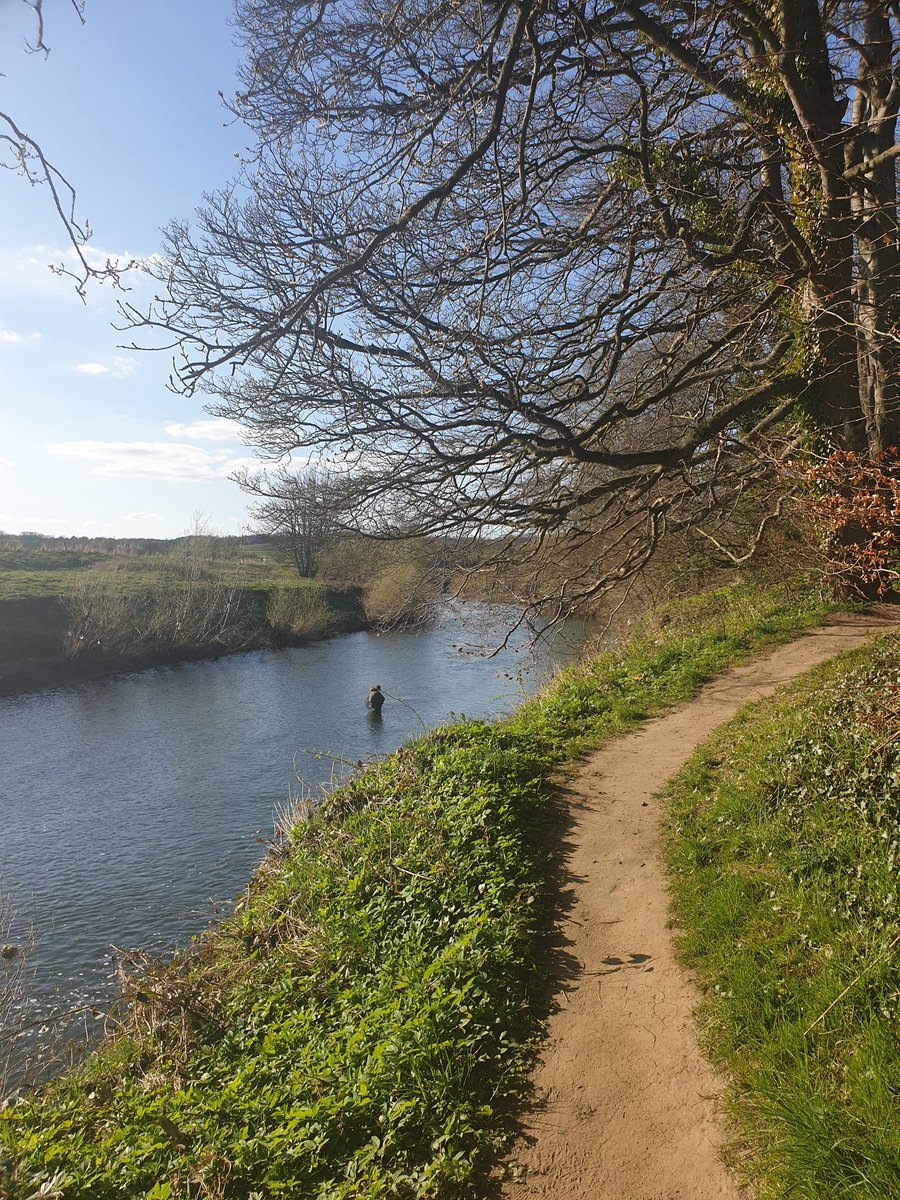 ChrisRileyMusic's tweet photo. Just a few snaps from yesterday evening's #dailypermittedexercise
A 4 mile loop from my doorstep. The last couple of snaps are from Strawberry Lane in the middle of some farmer's fields. I wonder how old that lane is to be so called and where it led to and who walked it... 🍓 https://t.co/NuCgbeVqgg