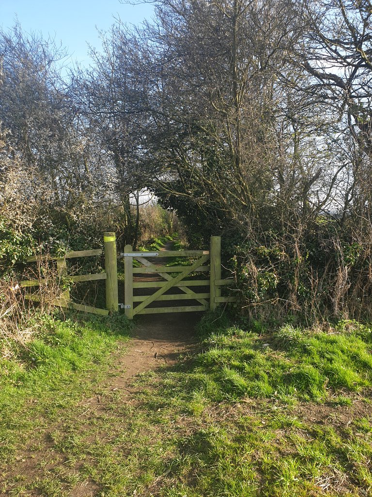 ChrisRileyMusic's tweet photo. Just a few snaps from yesterday evening's #dailypermittedexercise
A 4 mile loop from my doorstep. The last couple of snaps are from Strawberry Lane in the middle of some farmer's fields. I wonder how old that lane is to be so called and where it led to and who walked it... 🍓 https://t.co/NuCgbeVqgg
