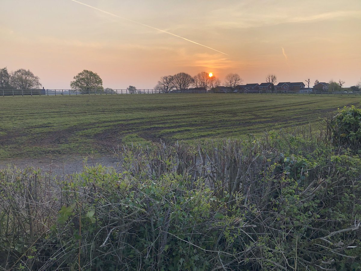 This mornings walk - just sublime. #earlymorningwalk #peacefulmind