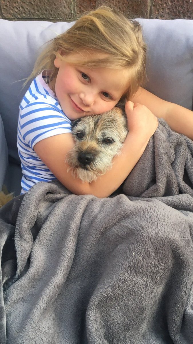 Annahopkinson9's tweet photo. George the dog 🐕 is loving lockdown life! 🥰😂 https://t.co/hXyPYmi8cn