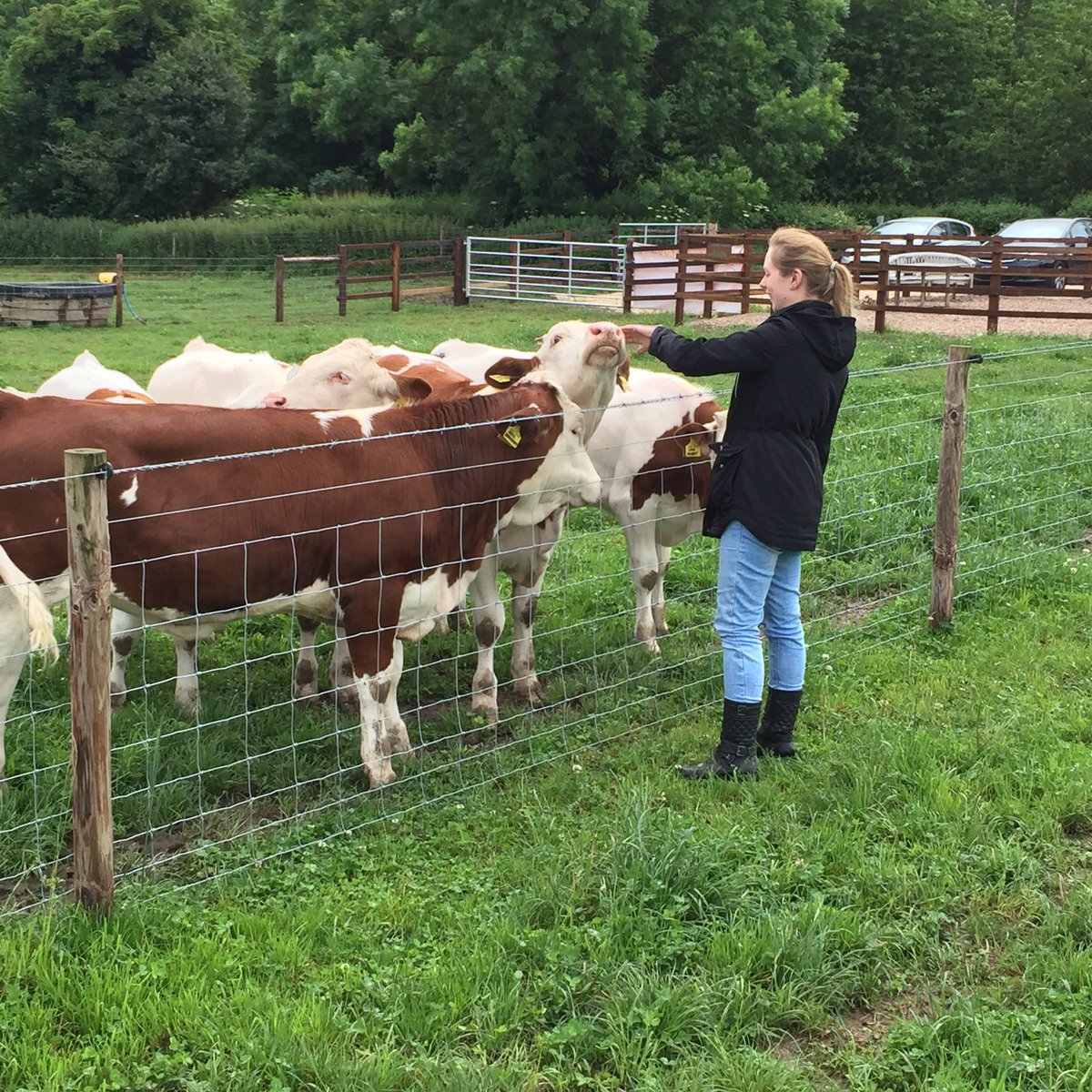 ...after we both had something to eat, Leanne went over to meet the calves. They made quite the impression on her, as you can see...