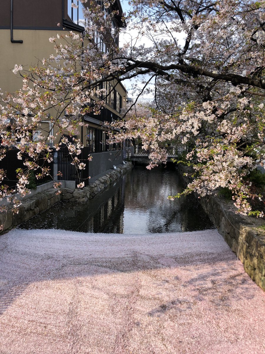水面を埋め尽くす桜の絨毯 水の流れで渦巻く花びら 桜が散りゆく季節の風物詩 花筏が今年も美しいので 各地の花筏を集めてみた Togetter