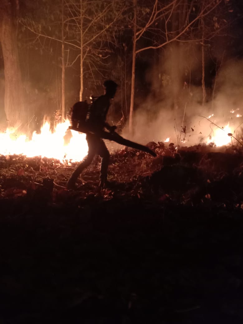 Forest fire control measures in Rairangpur forest division by using blower machines and uploading fire response in fire App