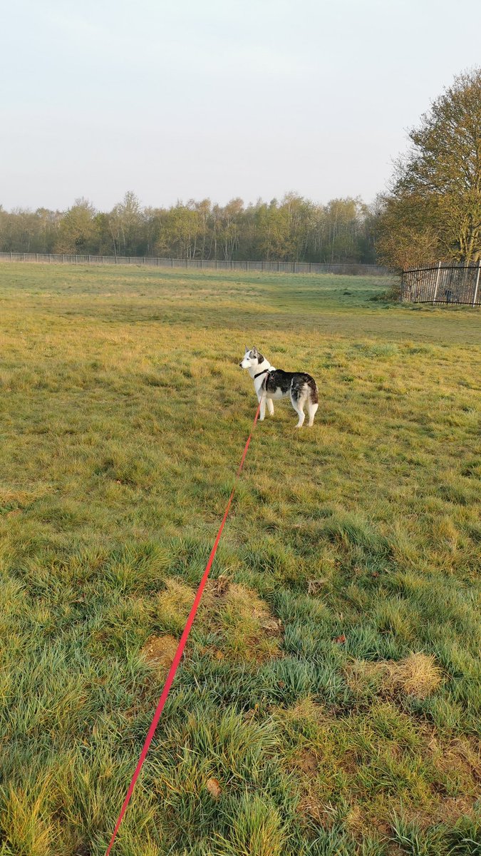 Good morning wonderful people. Just on our walkies then coffee time! Hope you are well, what are your plans for the day? #TheBreakfastClub