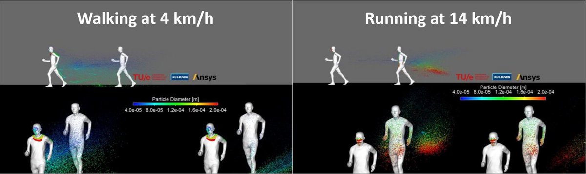 The images below show the slipstream for walking at 4km/h and running at 14 km/h. The red dots on the images represent the largest particles, they fall down fastest, but are also considered most contagious