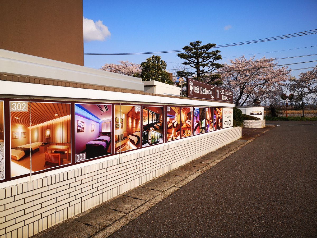 hotel_ox's tweet photo. ホテルの目の前にある鳥屋野潟沿いでは、キレイな桜が咲いております。桜を眺める流れでぜひお待ちしております！ https://t.co/kuXi76iWo5