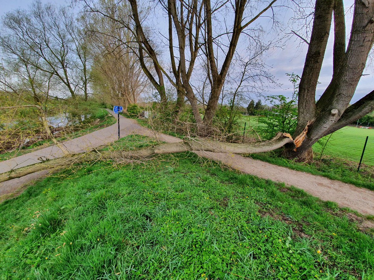 Mike_Justice's tweet photo. @StockportMBC split tree branch blocking both paths on NCN2 @BurnageRFC . FYI as everyone wanting to pass this will have to climb over and touch it risking cross contamination https://t.co/VxdISqGf0n