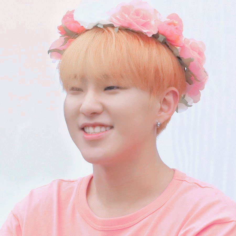 soft hoshi