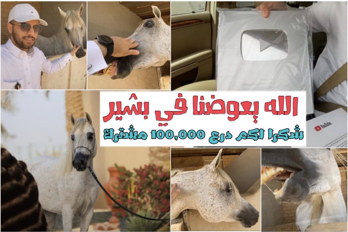 الله يعوضنا خير في البطل #بشير_الشقب ودرع اليوتيوب شكرا لكم متابعيني 🌹 #درع_100_الف 

.
🔸المقطع كامل على قناتي في اليوتيوب : youtu.be/LqrK9PwMrf8
.
.
.
#الخيل #خيل #عمر_الشريف #نادي_الفروسية #الحصان_العربي #خيل_القفز #خيل_الجمال