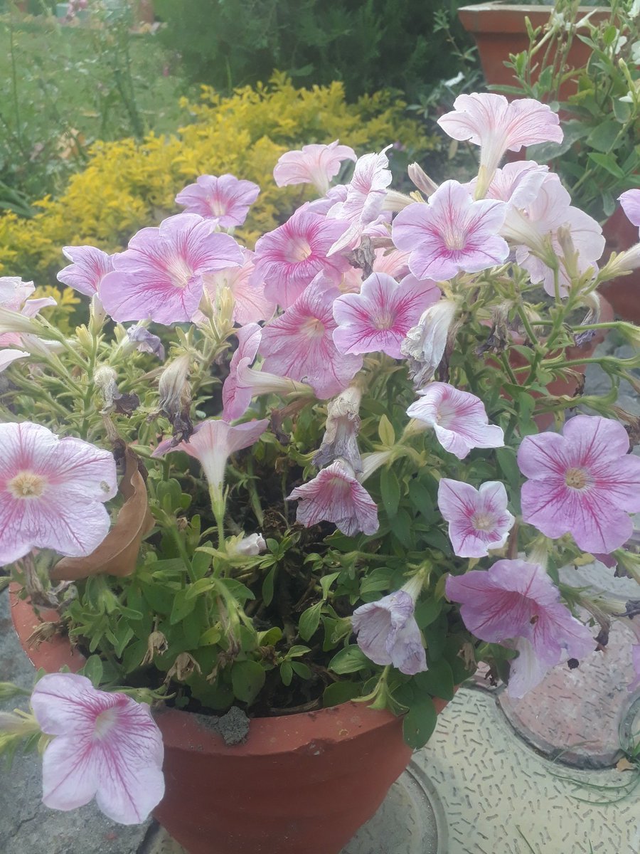 Aneesaadeez's tweet image. #Lets_guide

@localguides 
@googlemaps