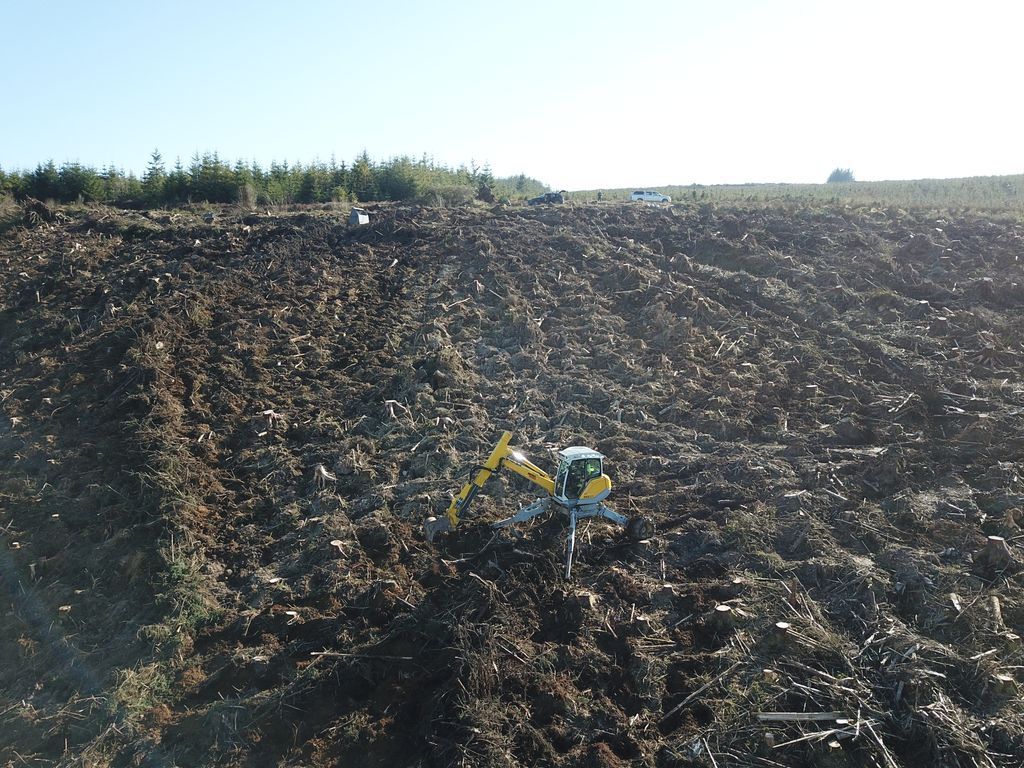 Tilhill Forestry tweet media