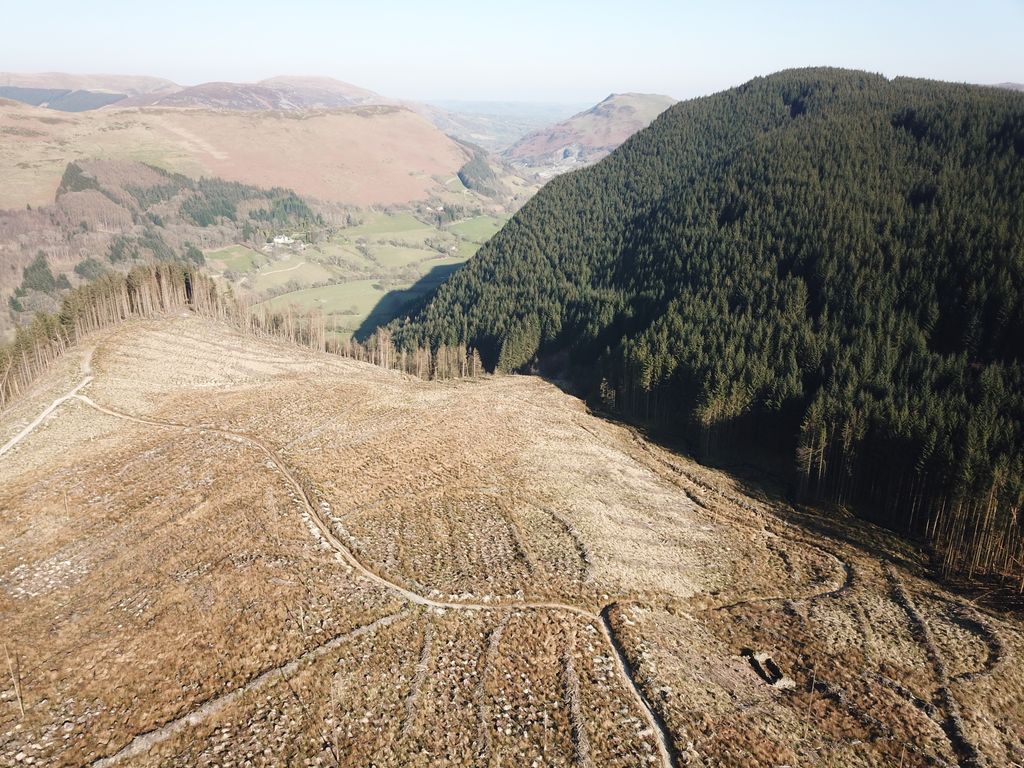 A drone captures more images of a Tilhill client's views from the forestry and harvesting operation site. Here we can see steep ground working from quality contractor Bedwyr Jones of GMD Forestry.