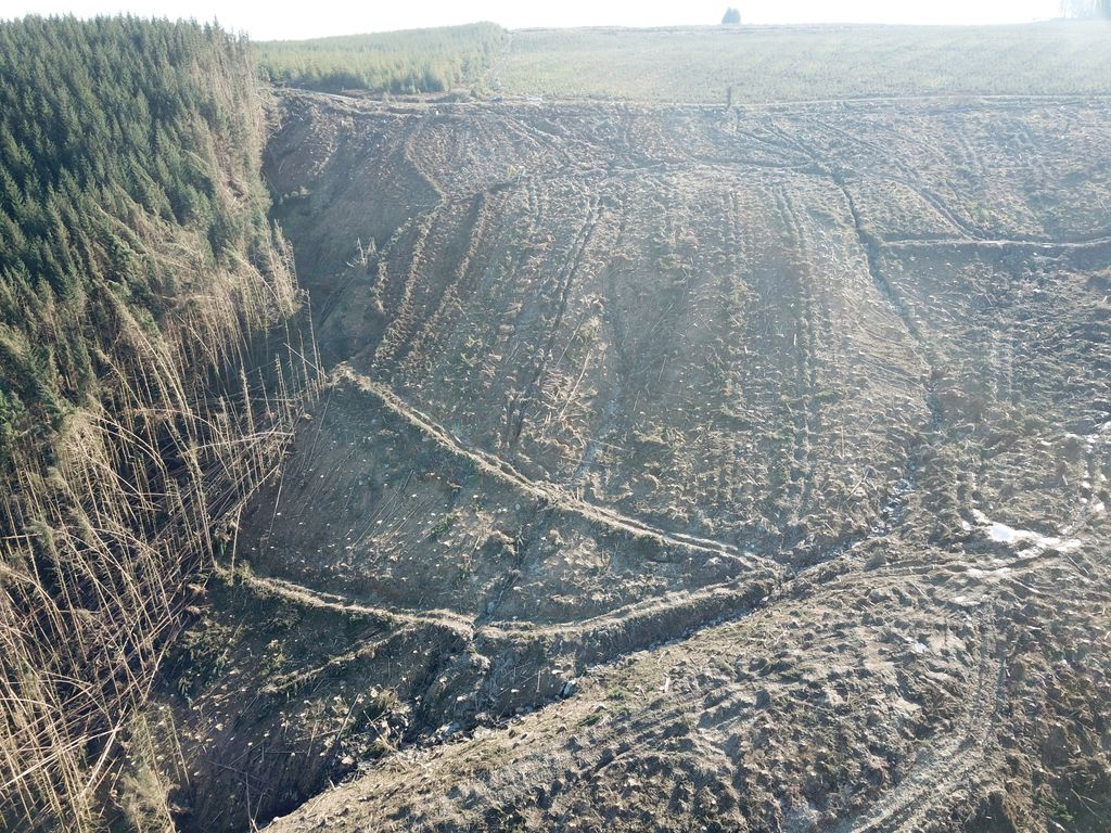 Tilhill Forestry tweet media